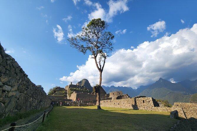One Day Tour to Machu Picchu for Small Groups by Train - Pricing Details
