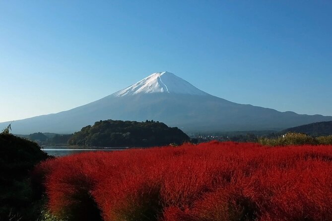 One Day Tour to Oishi Park and Fruit Picking in Mt. Fuji Tokyo - Fruit Picking Details