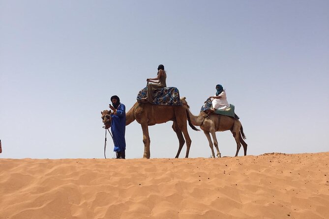 One Day Tour to Small Sahara and Massa - Good To Know