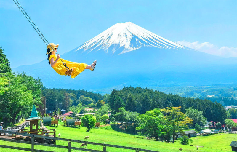 One-Day Tour to the Secret Flower Fields of Mount Fuji | Oishi Park x Motosuko Rainbow Flower Festival / Saiko Iyashi no Sato Nenba x Popular Makaino Farm x Lawson Photo Shoot (Departure from Tokyo) - A Fuji day with more than one kind of view