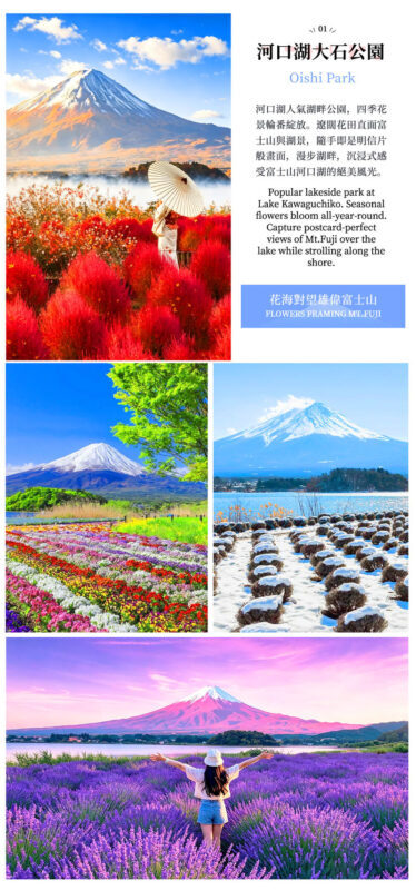 One-Day Tour to the Secret Flower Fields of Mount Fuji | Oishi Park x Motosuko Rainbow Flower Festival / Saiko Iyashi no Sato Nenba x Popular Makaino Farm x Lawson Photo Shoot (Departure from Tokyo) - Oishi Park starts the day by the lake
