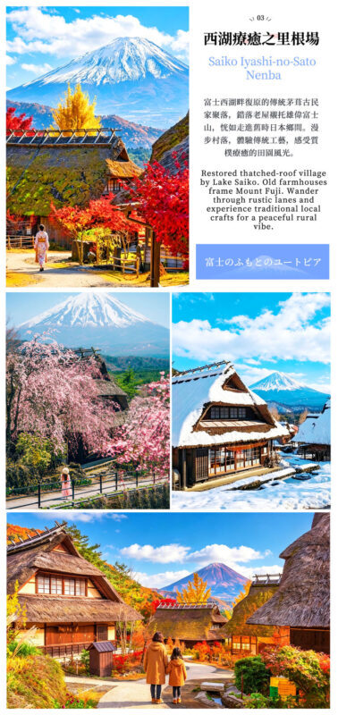 One-Day Tour to the Secret Flower Fields of Mount Fuji | Oishi Park x Motosuko Rainbow Flower Festival / Saiko Iyashi no Sato Nenba x Popular Makaino Farm x Lawson Photo Shoot (Departure from Tokyo) - Makaino Farm gives the day room to breathe