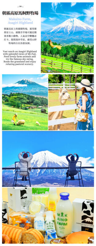 One-Day Tour to the Secret Flower Fields of Mount Fuji | Oishi Park x Motosuko Rainbow Flower Festival / Saiko Iyashi no Sato Nenba x Popular Makaino Farm x Lawson Photo Shoot (Departure from Tokyo) - The Lawson stop is brief and popular