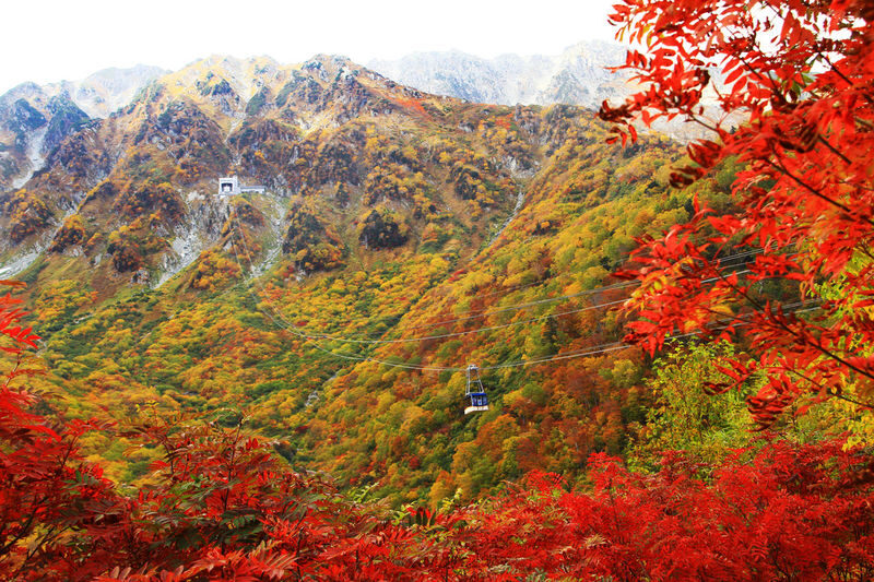 One-day tour to the Tateyama Kurobe Alpine Route from Kanazawa - The true price: tour fare plus the mountain ticket