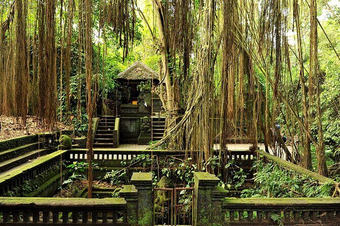 One Day Tour Ubud With Private Guide - Authentic Insights From Reviewers