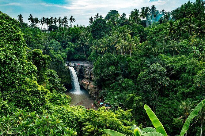 One Day Tour Ubud With Private Guide - FAQ