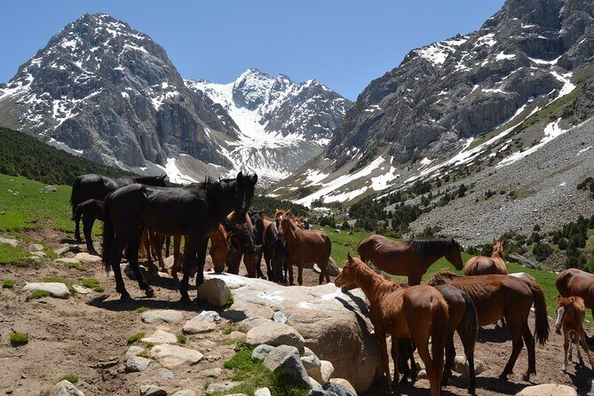 One day Trek in Osh to Sacred Sites and Panoramic Views - Good To Know
