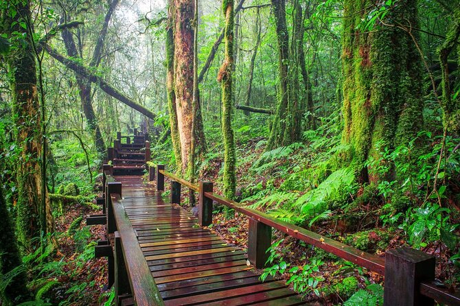 One Day Trekking at Doi Inthanon National Park - Wildlife and Nature Spotting Opportunities