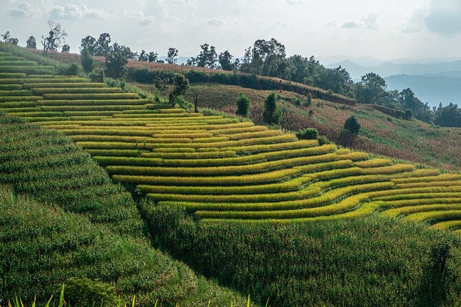 One Day Trekking at Doi Inthanon National Park - Common Questions