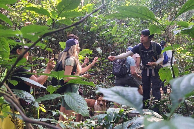 One Day Trekking Chiang Rai Jungle Adventure and Bamboo Cooking - Good To Know