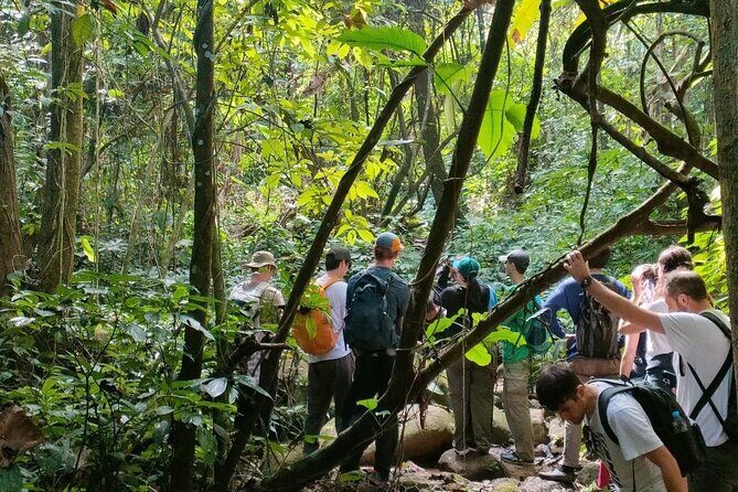 One Day Trekking Chiang Rai Jungle Adventure and Bamboo Cooking - What’s Included and What’s Not