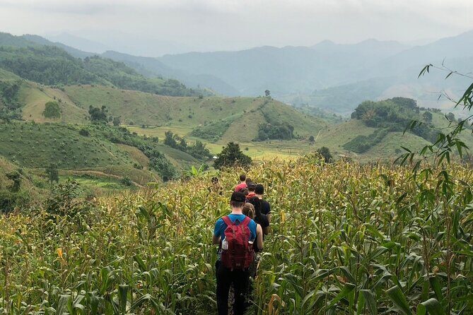 One Day Trekking Chiang Rai Jungle Adventure and Bamboo Cooking - Good To Know