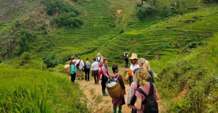 ONE DAY TREKKING MUONG HOA VALLEY - Itinerary Highlights