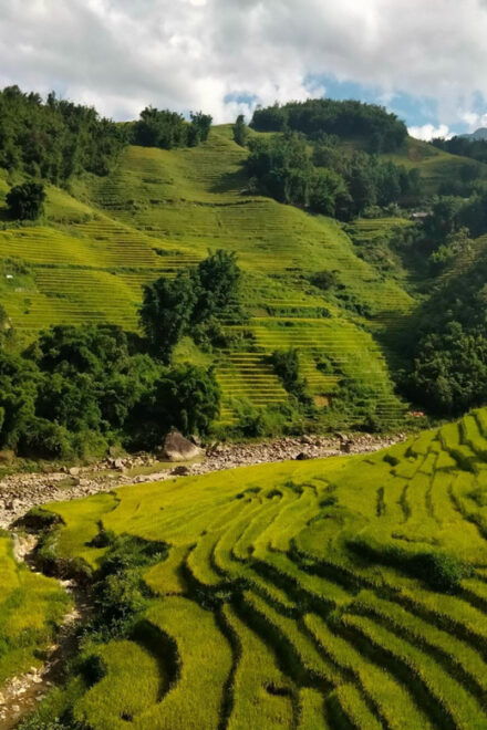 ONE DAY TREKKING MUONG HOA VALLEY - Cultural Experience