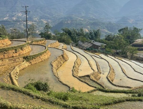 ONE DAY TREKKING MUONG HOA VALLEY - Health and Safety