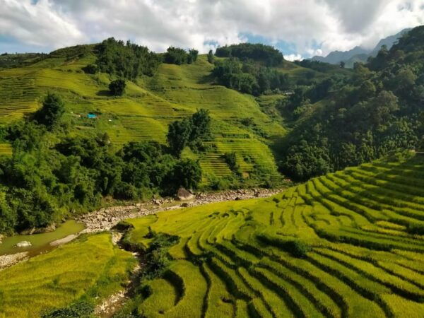ONE DAY TREKKING MUONG HOA VALLEY - Frequently Asked Questions
