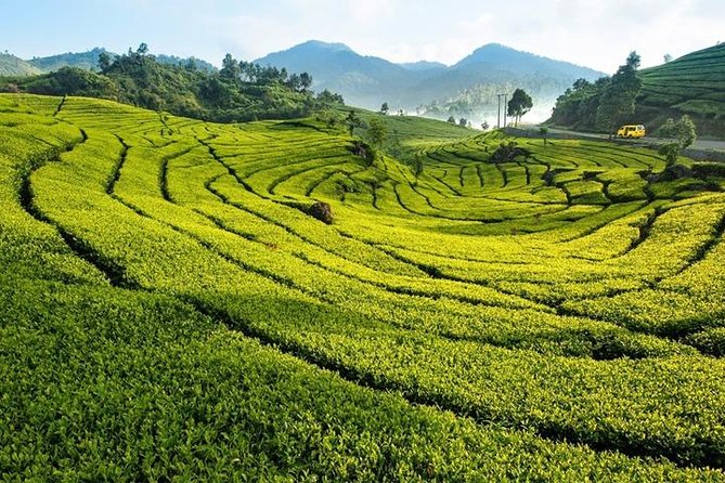 One Day Trip : Bogor Highland Waterfall Tour With Lunch - Tour Overview