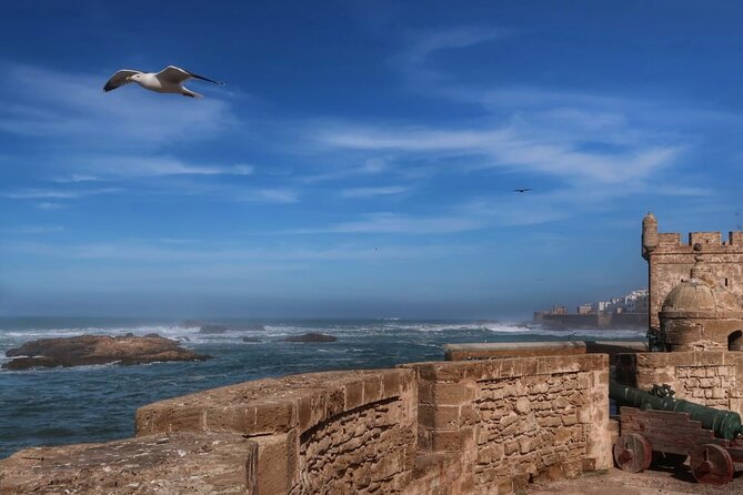 One Day Trip From Marrakech To Essaouira - The Sum Up