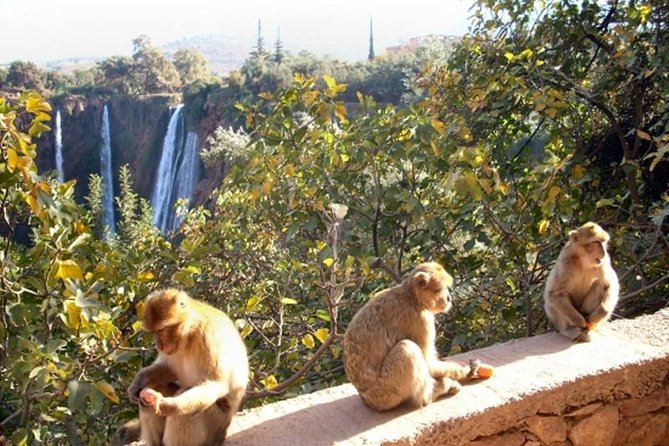 One Day Trip From Marrakech To Ouzoud Waterfalls And Berber Villages - Tour Details and Overview