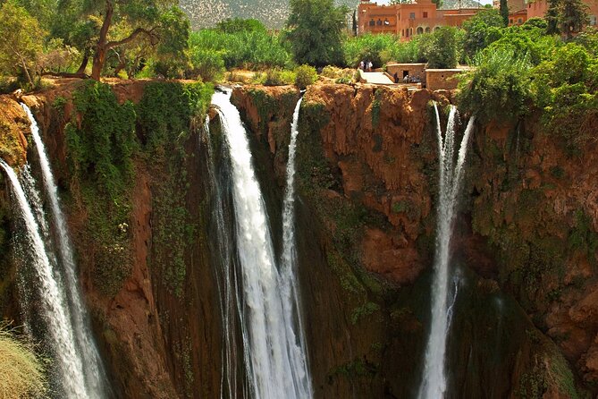 One Day Trip From Marrakech to Ouzoud Waterfalls - Reviews and Ratings Summary