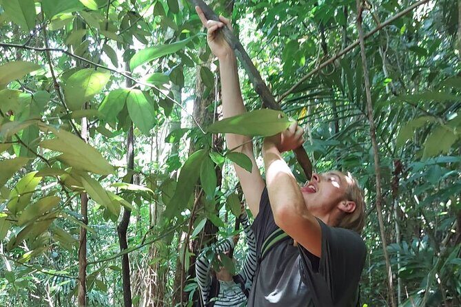 One day trip Learning the Private Lifestyle of the Forest People. - What’s Included and What to Consider