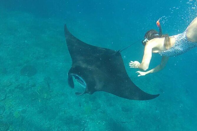 One Day Trip Nusa Penida Island and Snorkeling - Seamless Transportation and Arrival