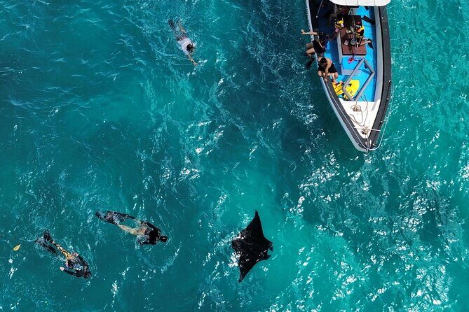 One Day Trip Nusa Penida Island and Snorkeling - Exploring the Itinerary in Detail