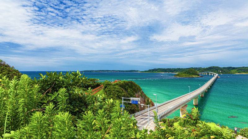 One-day trip to Fukuoka Akiyoshido Cave and Tsunoshima Bridge - The guide and vehicle shape the experience