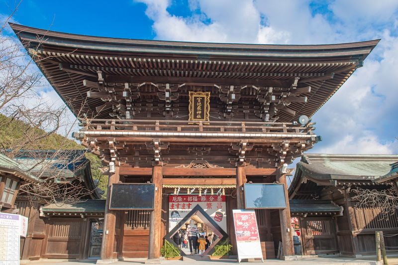 One-Day Trip to Kitakyushu: Kawachi Wisteria Garden (Seasonal), Kokura Castle Garden, Uminonakamichi Seaside Park, Miyajidake Shrines Road of Light, and THE OUTLETS Kitakyushu | Departure from Fukuoka/Hakata - Kawachi Fuji Garden, only on the seasonal version