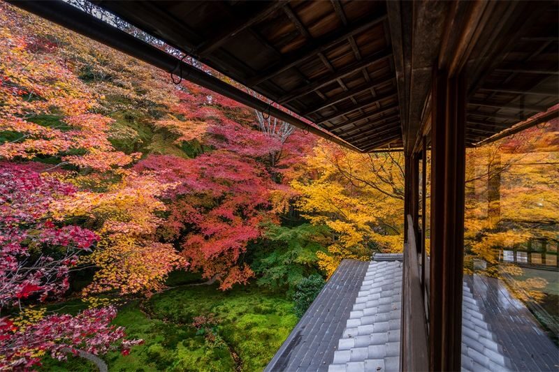 One-day trip to Kyotos Kifune Shrine, Arashiyama, and Sanzen-in Temple - Sanzen-in: moss, water, and a measured hour