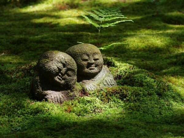 One-day trip to Kyotos Kifune Shrine, Arashiyama, and Sanzen-in Temple - Arashiyama: bamboo, bridge, and a choice of sights