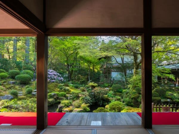 One-day trip to Kyotos Kifune Shrine, Arashiyama, and Sanzen-in Temple - What the driver-guide adds