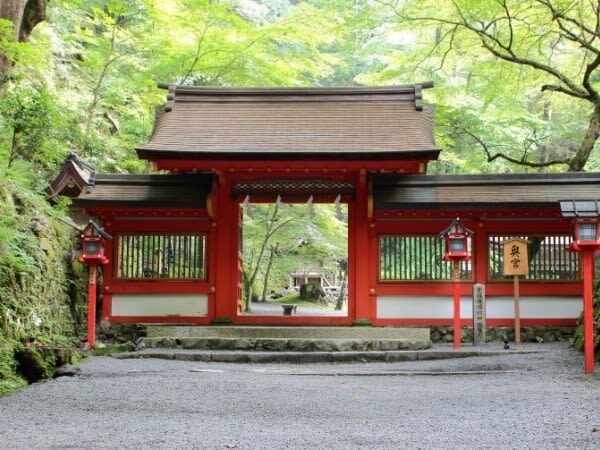 One-day trip to Kyotos Kifune Shrine, Arashiyama, and Sanzen-in Temple - Who should choose this day trip