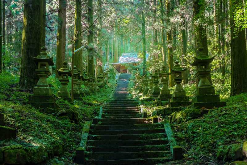 One-day trip to Kyushu Miyazaki: Kamishikimi Kumanoza Shrine & Takachiho Gorge & Ama-no-Iwato Shrine & Ama-no-Yasugawara (Departure from Fukuoka, including a special lunch) - A long ride to a quieter side of Kyushu