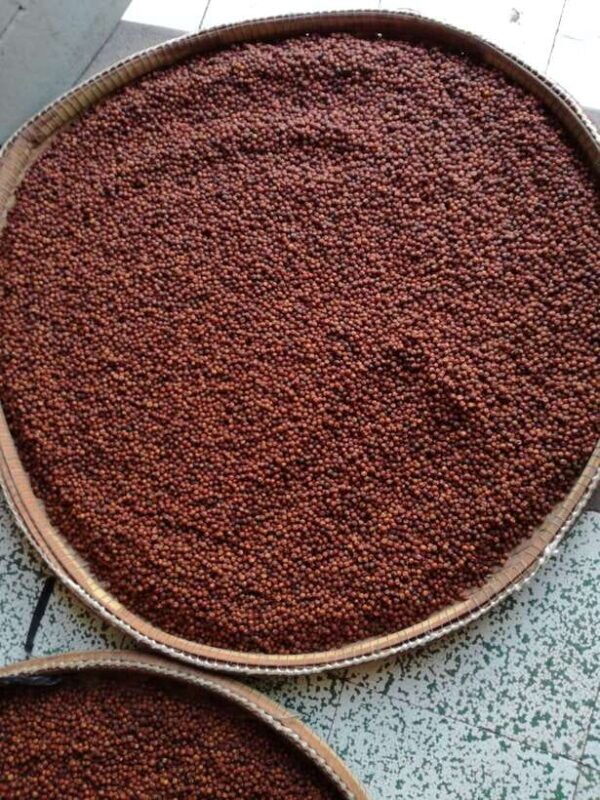 One Day Trip to Pepper Farm, Chhngok Temple and Salt Field - FAQs