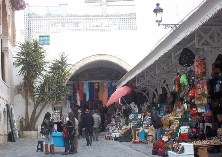 One Day Trip to Tunis Carthage and Sidi Bou Said - Highlights of Tunis