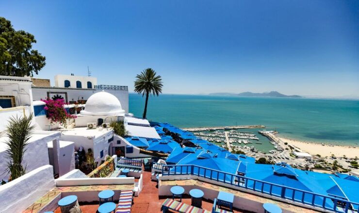 One Day Trip to Tunis Carthage and Sidi Bou Said - Exploring Carthage