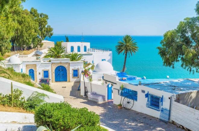 One Day Trip to Tunis Carthage and Sidi Bou Said - Strolling Through Sidi Bou Said