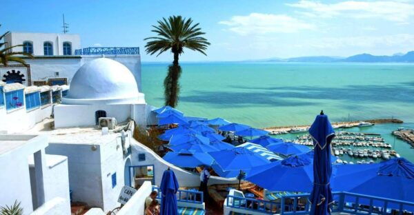 One Day Trip to Tunis Carthage and Sidi Bou Said - Common Questions