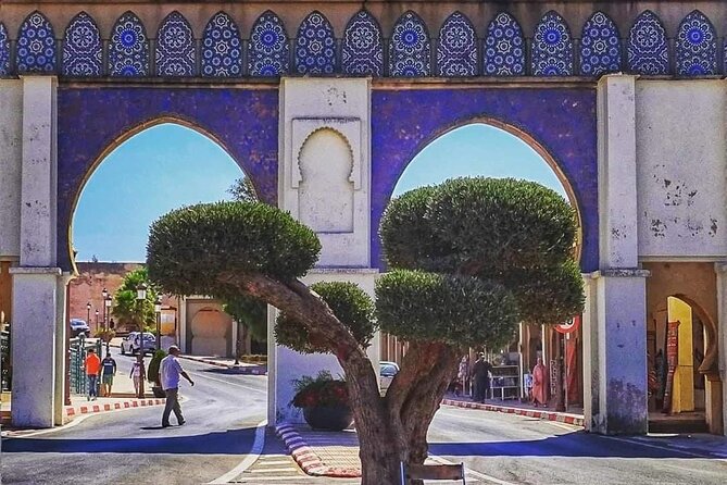 One Day Trip to Volubilis and Meknes From Fes - Transparent Terms and Conditions