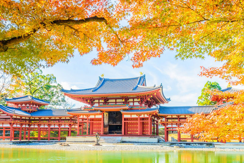 One-Day Uji Nara Onsen Tour: Nara Park with Deer Crackers + Todai-ji Temple + Uji Byodo-in Temple + Genji no Yu Onsen (Round Trip from Osaka) - At a glance