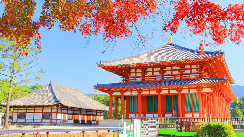 One-Day Uji Nara Onsen Tour: Nara Park with Deer Crackers + Todai-ji Temple + Uji Byodo-in Temple + Genji no Yu Onsen (Round Trip from Osaka) - Osaka to Nara: a useful head start