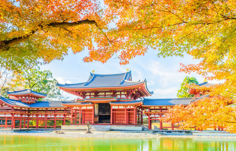 One-Day Uji Nara Onsen Tour: Nara Park with Deer Crackers + Todai-ji Temple + Uji Byodo-in Temple + Genji no Yu Onsen (Round Trip from Osaka) - Choosing between more Uji and the hot spring