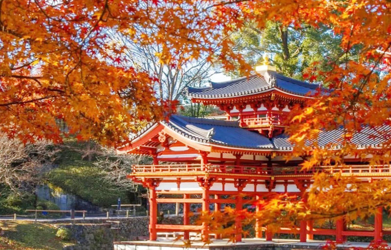 One-Day Uji Nara Onsen Tour: Nara Park with Deer Crackers + Todai-ji Temple + Uji Byodo-in Temple + Genji no Yu Onsen (Round Trip from Osaka) - What the price does and does not cover