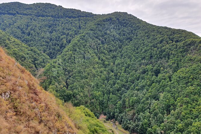 One-Day Vlad the Impaler Royal Court Private Tour From Bucharest - The Sum Up