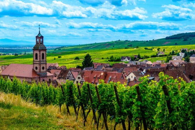 One Day Wine Route Tour With Private Driver - Tour Highlights