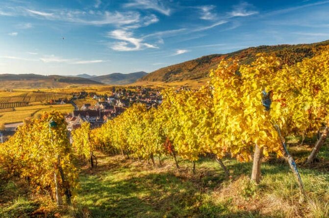 One Day Wine Route Tour With Private Driver - The Role of the Private Driver