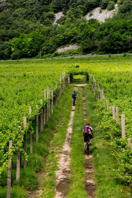 One Day Winery Tour with Wine Tasting and Cheese snack - Who Will Enjoy This Tour?