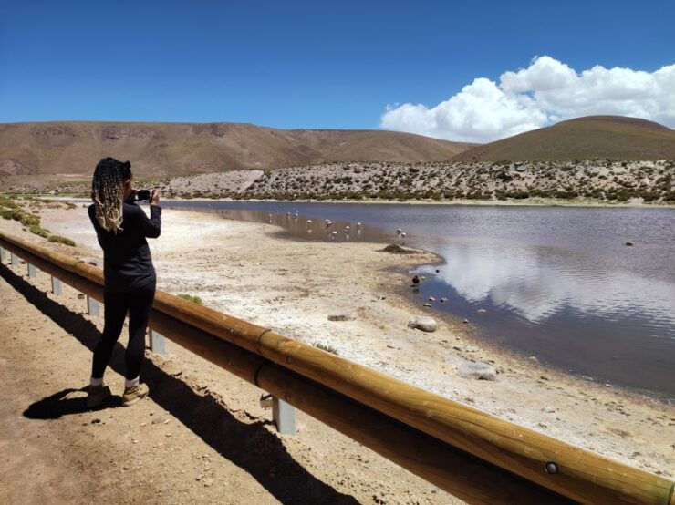 One Day With One of Our Expert Guides in Your Car - Experience Highlights