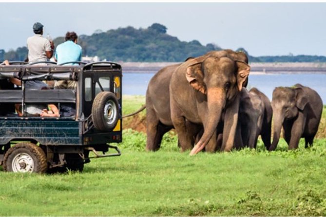 One Day Yala National Park From Galle/Hikkaduwa/Mirissa/Unawatuna - Private Jeep Safari in Yala National Park